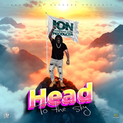 Head to the Sky - Single