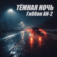 Тëмная ночь - Single - Гиббон Аи-2