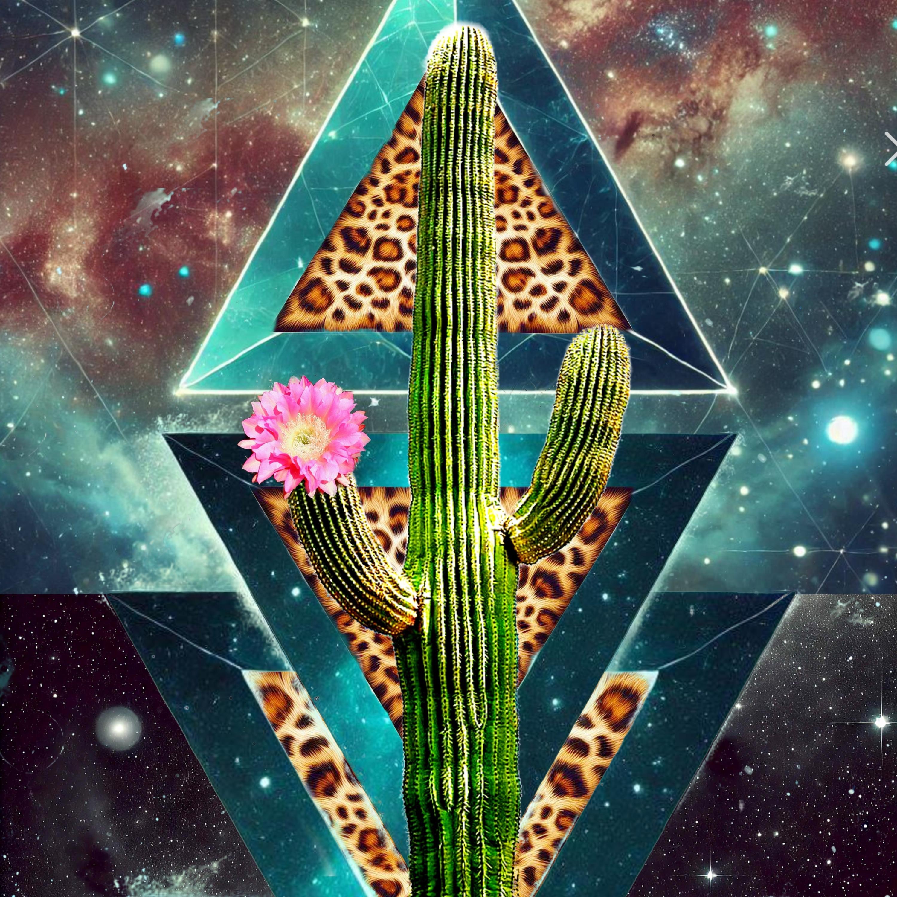 NREUSA presenta a Chac Xol - NOPAL - Marzo 8 al 15 2026