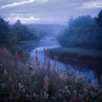 i'm sorry (no lyrics) - Single - OGMaTrizz