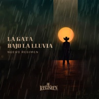 La Gata Bajo La Lluvia - Single - Nuevo Regimen