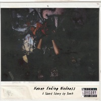 Never Ending Madness - EP - $oniK