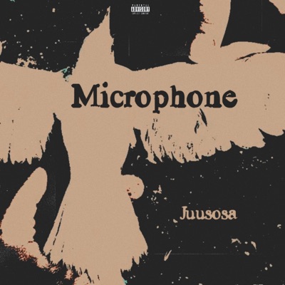 Microphone - Single