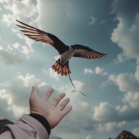 Отпустил - Single - Aэронавт & Регион 74_61