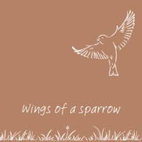 Wings of a Sparrow - Single - Haley Harkin