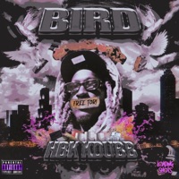 Bird - Single - Hbk Kdubb