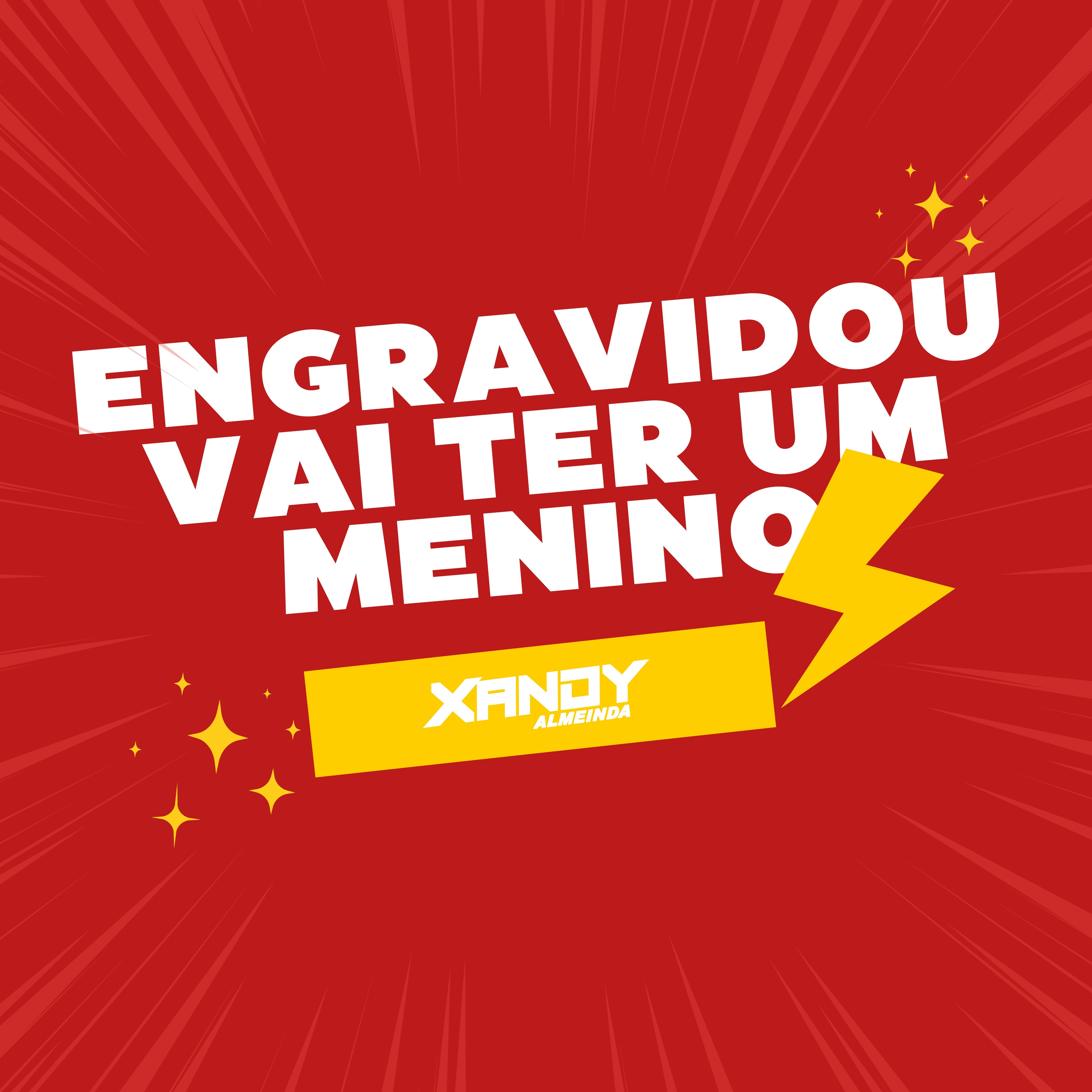 Engravidou Vai Ter um Menino - Single