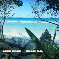 Love Zone — Adam S.Z.