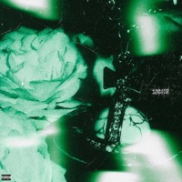 VIVIENNE CHAIN - Single - LONESTAR