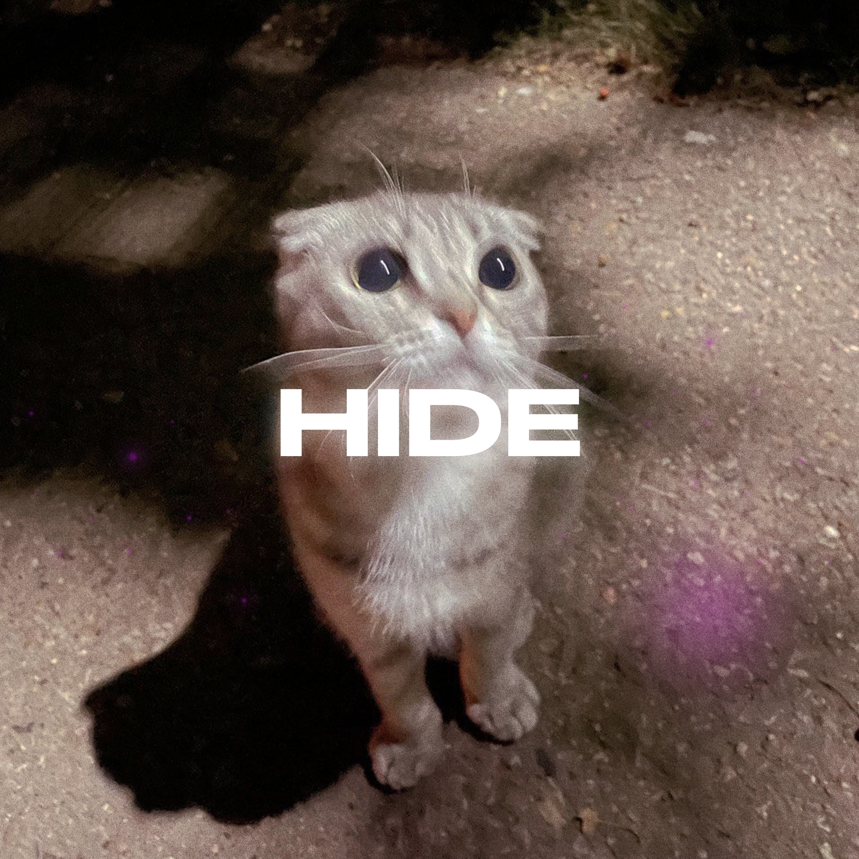 Rendow feat. ISVNBITOV - Hide
