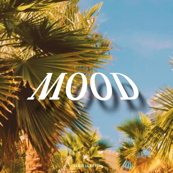 Pochette du single MOOD de Leris Luketo