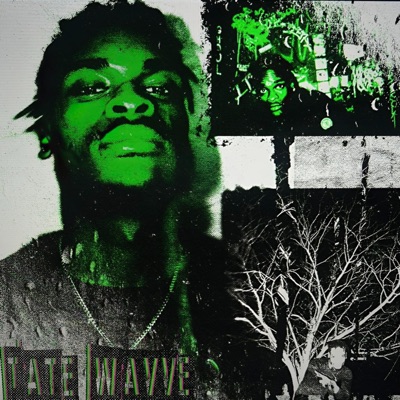 PIMP PROBLEMS (Radio Edit) - Single