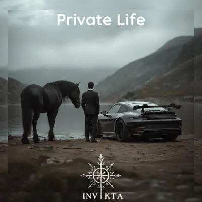 Ouça Private Life - Single de INVIKTA.