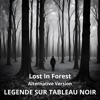 Didier Forest Lost in Forest (Alternative Version) Lost in Forest (Alternative Version) - Single