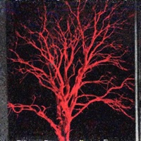 IN ABSENTIA - Single - Berith