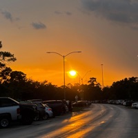 C.O.N.U - Single - Bhrisbran