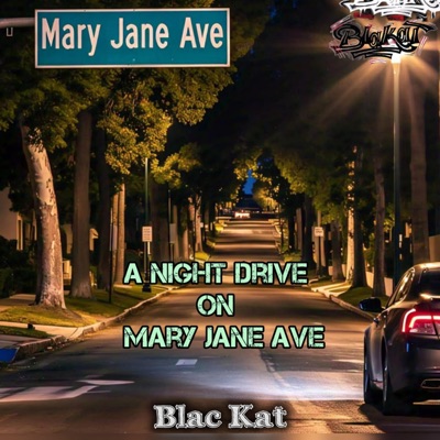 A Night Drive On Mary Jane Ave - Single