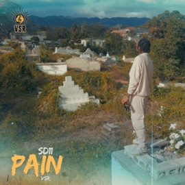 Pain SD11 & VSR