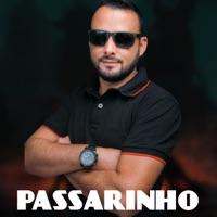 Passarinho (feat. NT DO MANDELÂO) - Single - Dj Thebest