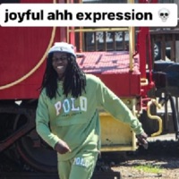 GITCH DO COMPUTADOR (dj astro original) [GÊNERO TERRÍVEL] (feat. TrueSimplex & ZX9NE) - Single - ASTROPLAYA