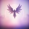 Half Crown - ZSÜ lyrics