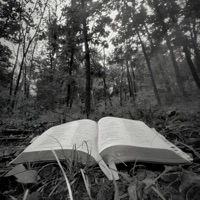 8925 - Single - Jake Perry