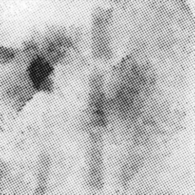 svwl's winter diary - EP