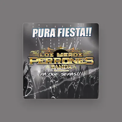 Listen to Los Meros Perrones Banda, watch music videos, read bio, see tour dates & more!