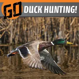 Go Duck Hunting!: The Wild Outdoors (Unabridged)