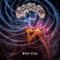 Black Echo - Synapsication lyrics