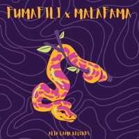 VENENOSA - Single - Fumafili & Malafama