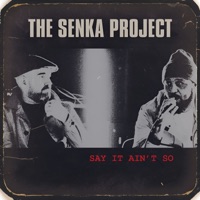 Say It Ain't So - Single - The Senka Project, Dub Phizix & DRS