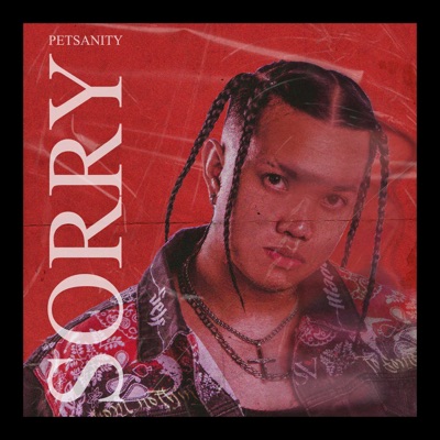 Sorry - Single