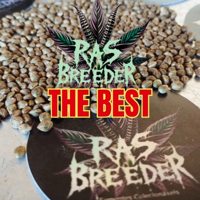 Ras Bredder The Best - Single