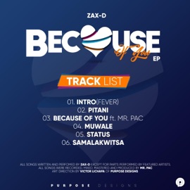 Because of You (feat. Mr Pac) Zax D