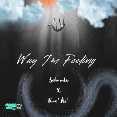 Way I'm Feeling (feat. Kno' Mo') - Single