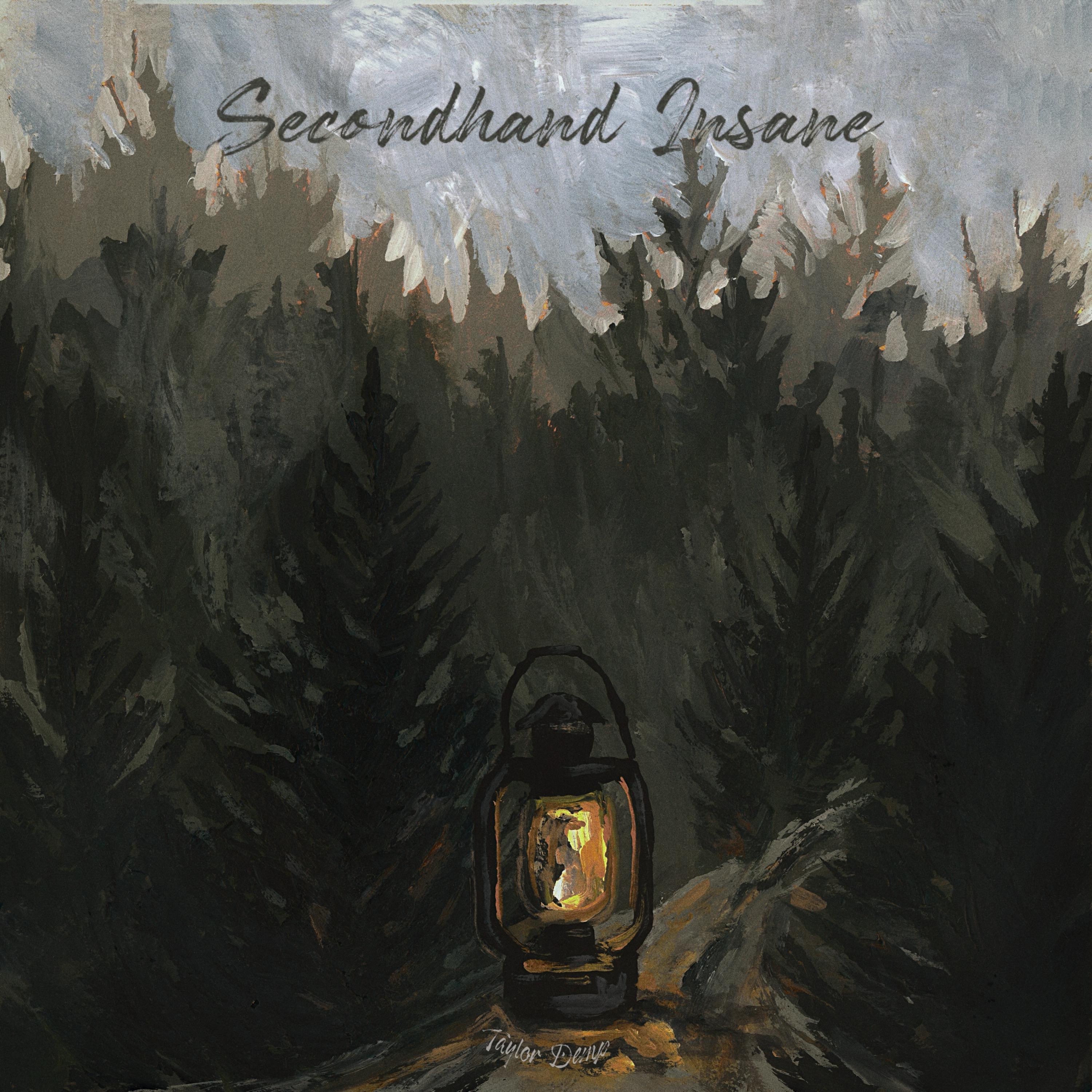Taylor Demp - Secondhand Insane