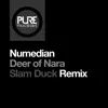 Numedian - Deer of Nara