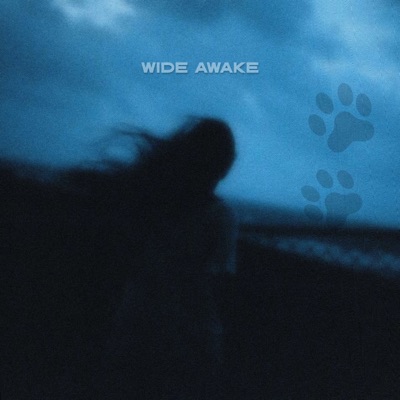 WIDE AWAKE - Single