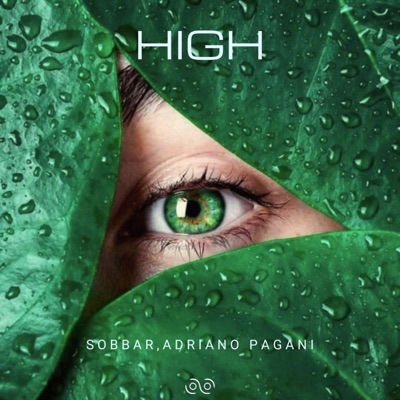 High - Single