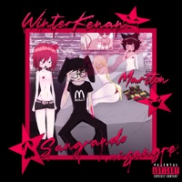 SANGRANDO MI SANGRE (feat. Martton) - WINTERKENAN