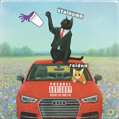 Wifi - Single