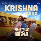 Krishna Song (From "Malayalee From India") artwork