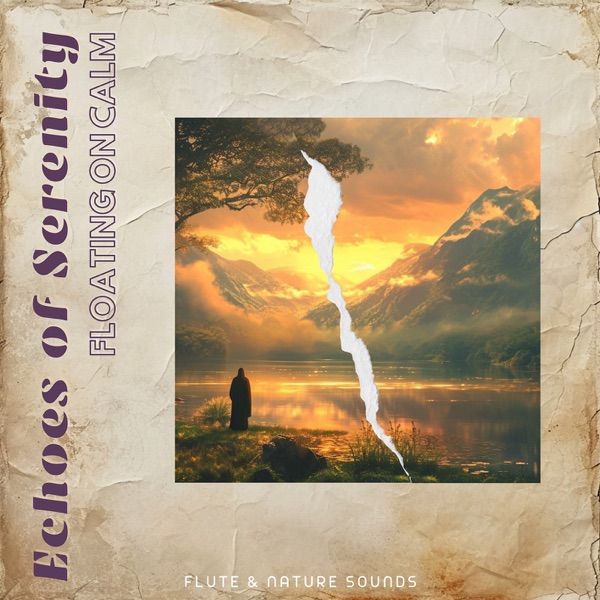 Echoes of Serenity: Calming the Day's Echo