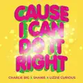 Cause I Can Do It Right (Dancing Divaz Radio Edit)