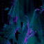 Sandman - Single