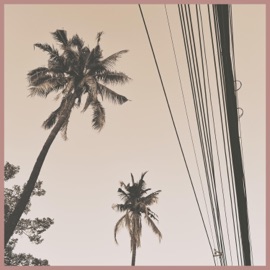 Take Me Anywhere flowray