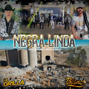 Negra Linda - Single