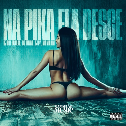 Na Pika Ela Desce (feat. MC Mr Bim)