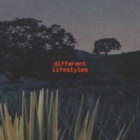 different lifestyles (feat. Chaz.) - Single - nxwhere